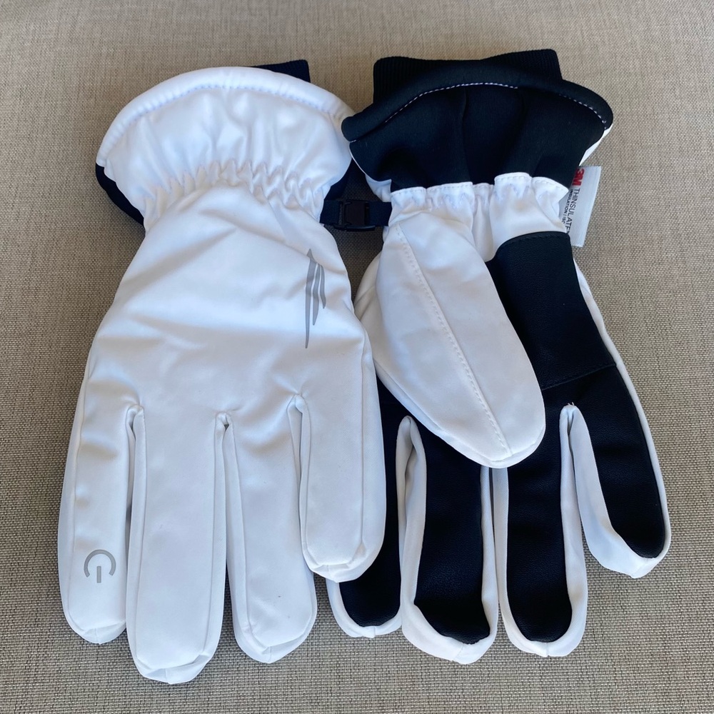 Ski gloves